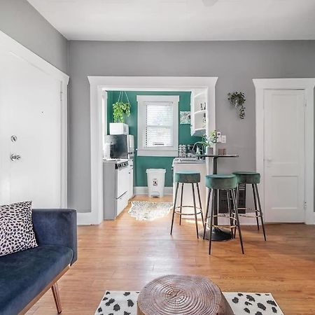 Jungle Themed Apt. Close To Coffee, Food + Shops! Tampa Exterior photo