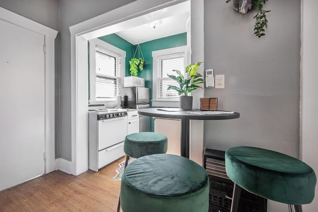 Jungle Themed Apt. Close To Coffee, Food + Shops! Tampa Exterior photo