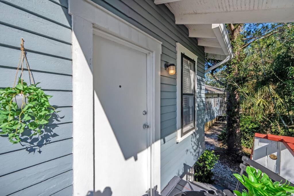 Jungle Themed Apt. Close To Coffee, Food + Shops! Tampa Exterior photo