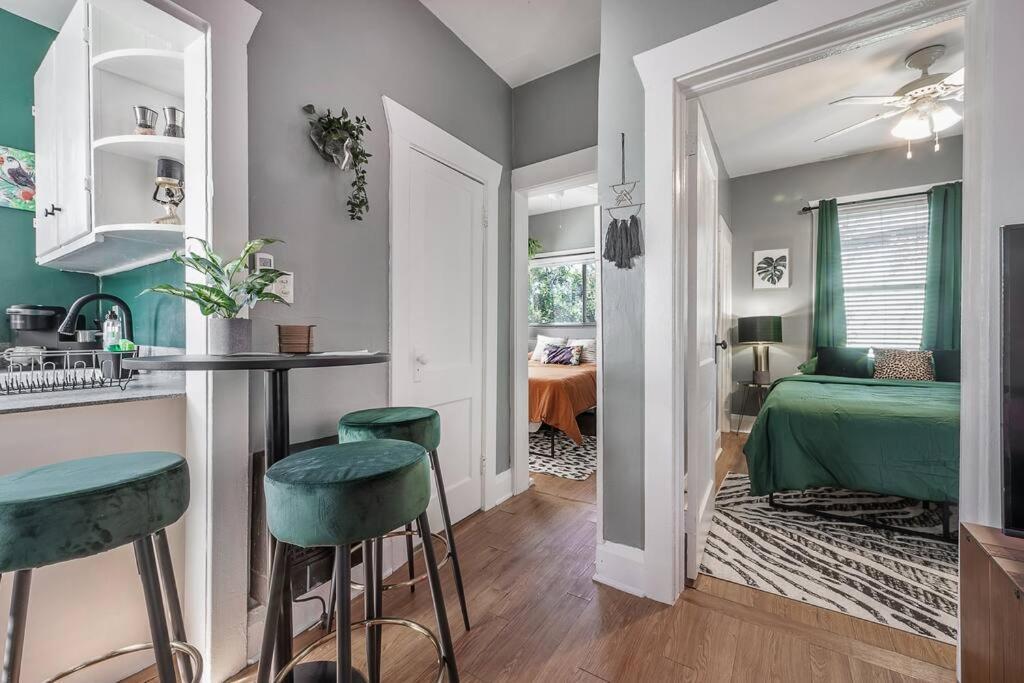 Jungle Themed Apt. Close To Coffee, Food + Shops! Tampa Exterior photo